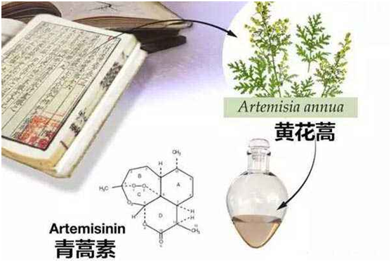 九游平台,九游(中国)：向中医药看齐，与世界共享中医药文化(图1)